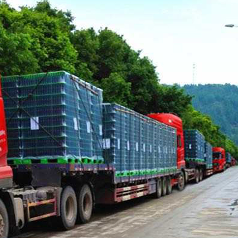 Pallets Separator Solutions Plastica Divider with PP Sheets for Bottle Tray Separators Separatori Low Price
