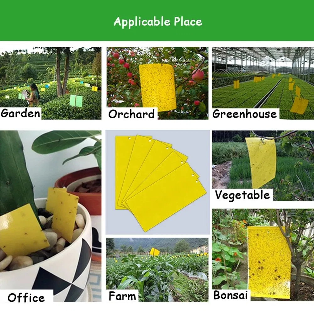 50PCS Aphid Insects Sticky Board Pest Killer Outdoor Indoor Strong Flies Traps Dual-Sided Whitefly Thrip Glue Sticker