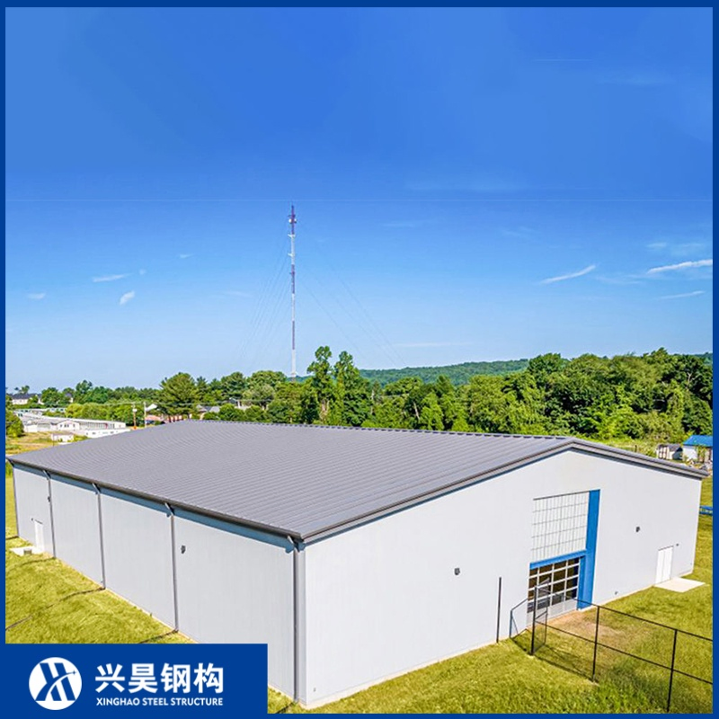 Q235 Customized Metal Prefabricated Building Steel Structure Workshop Warehouse for Commercial Storage and Distribution