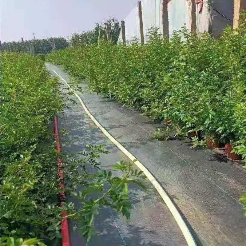 Geotextile Underlayment Geotextile Filter Fabric Fabric Weed Mat