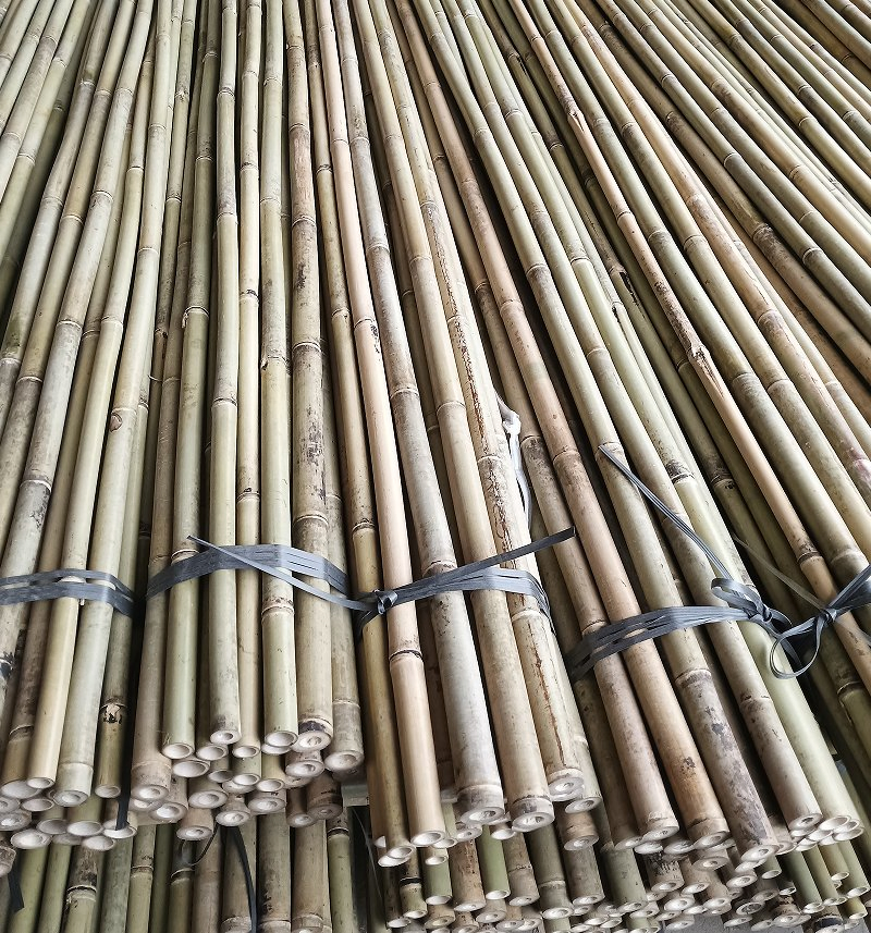 Plant Support Bumper Stickers Are Premium Products From China