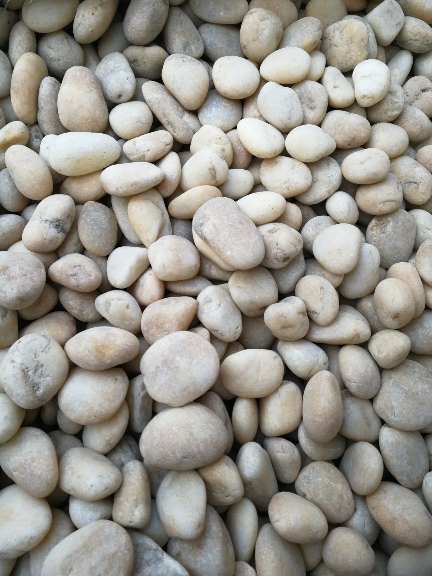 River Pebble Stone Without Polished for Garden Landscape Decoration Outdoor Project
