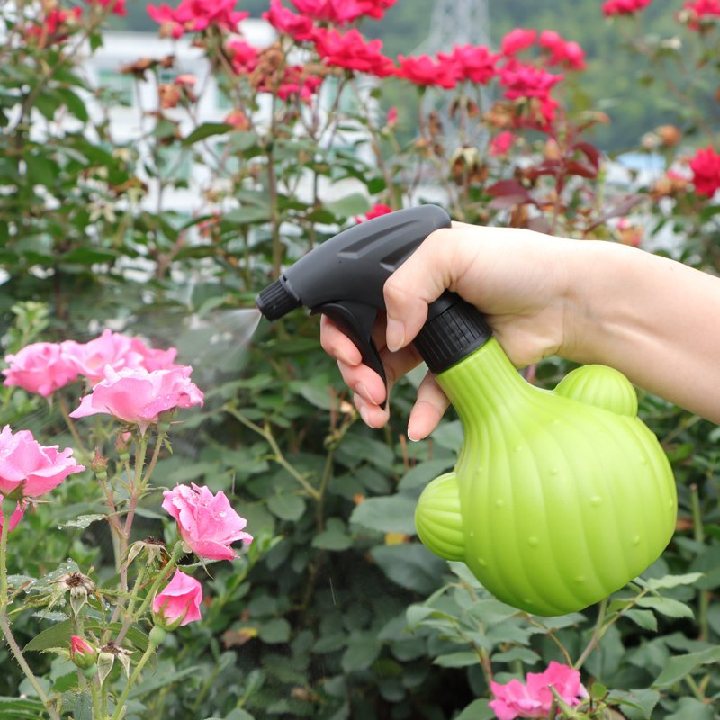 Cute 500ml Plastic Watering Can for Indoor Plants