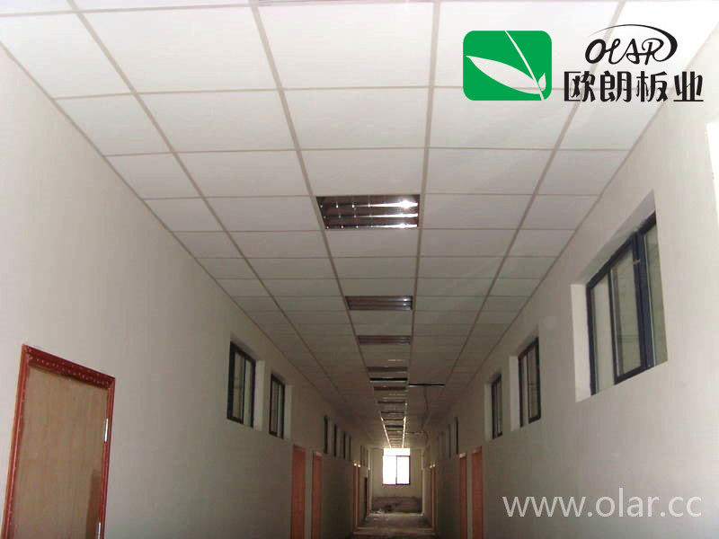 Fiber Cement Ceiling Board-Competitive Interior Building Material