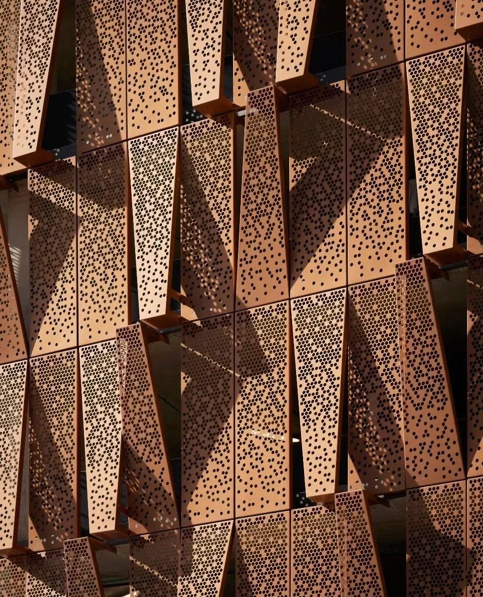 Aluminum Materials Cladding Custom Designed Patterns Easy to Install Powder Coating Perforated Carved Aluminum Panel for Wall Cladding