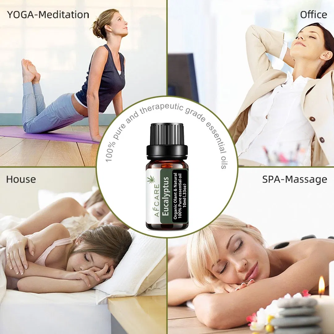 100% Pure OEM Eucalyptus Essential Oil Therapeutic Grade Aromatherapy