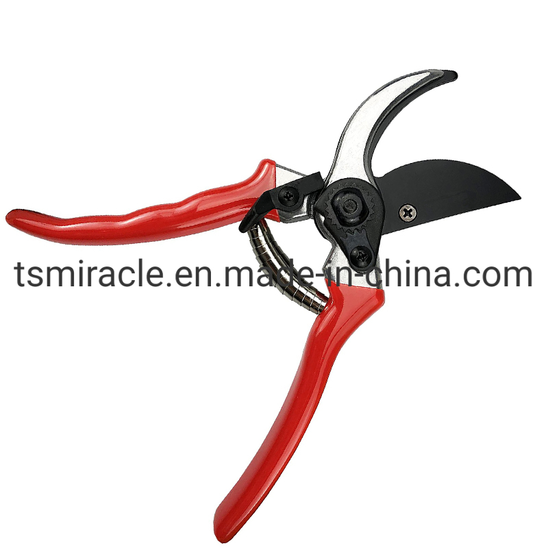 Wholesale Garden Tools Branch Scissors Gardening PVC Oipe Labor-Saving Household Pruning Shears