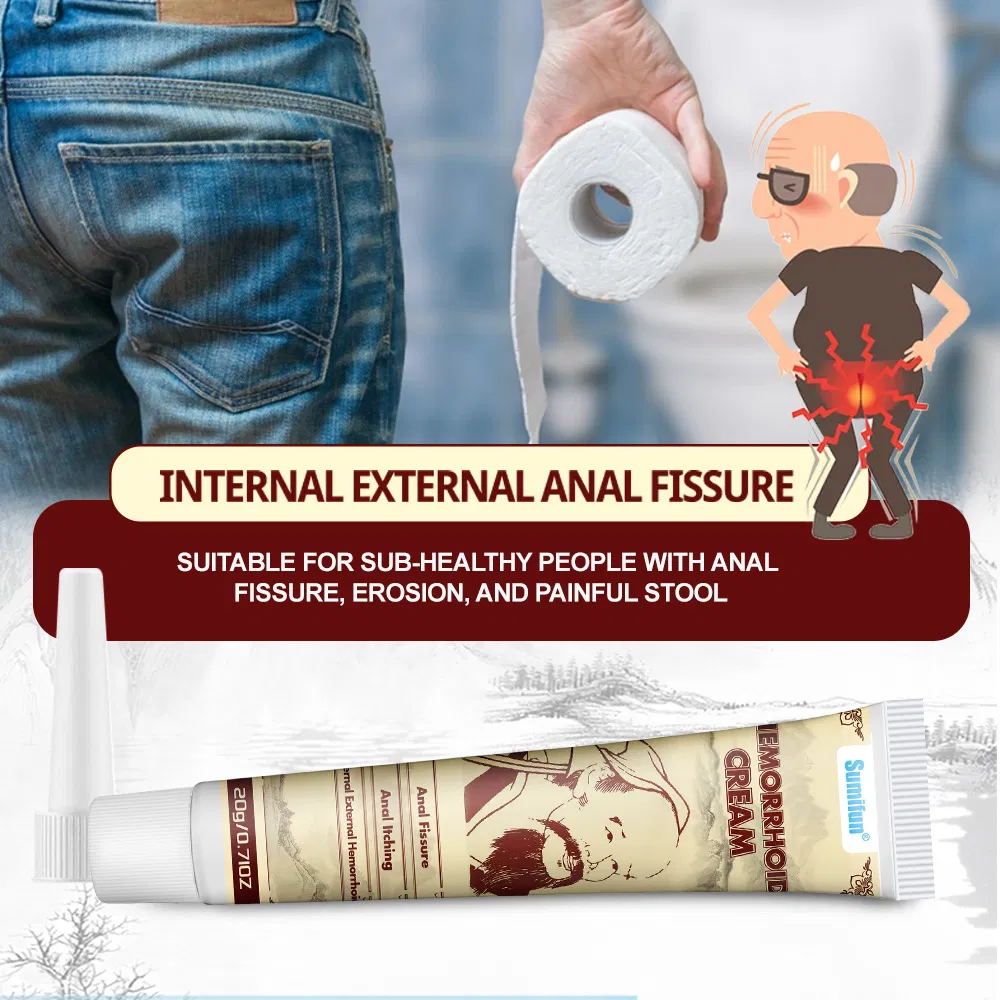 OEM Hemorrhoids Ointment Original Herbal Hemorrhoid Pain Anal Fissure Cream