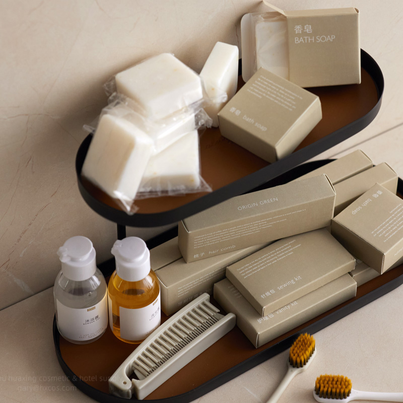 Premium Hotel Toothbrush Set with Custom Logo and Toothpaste