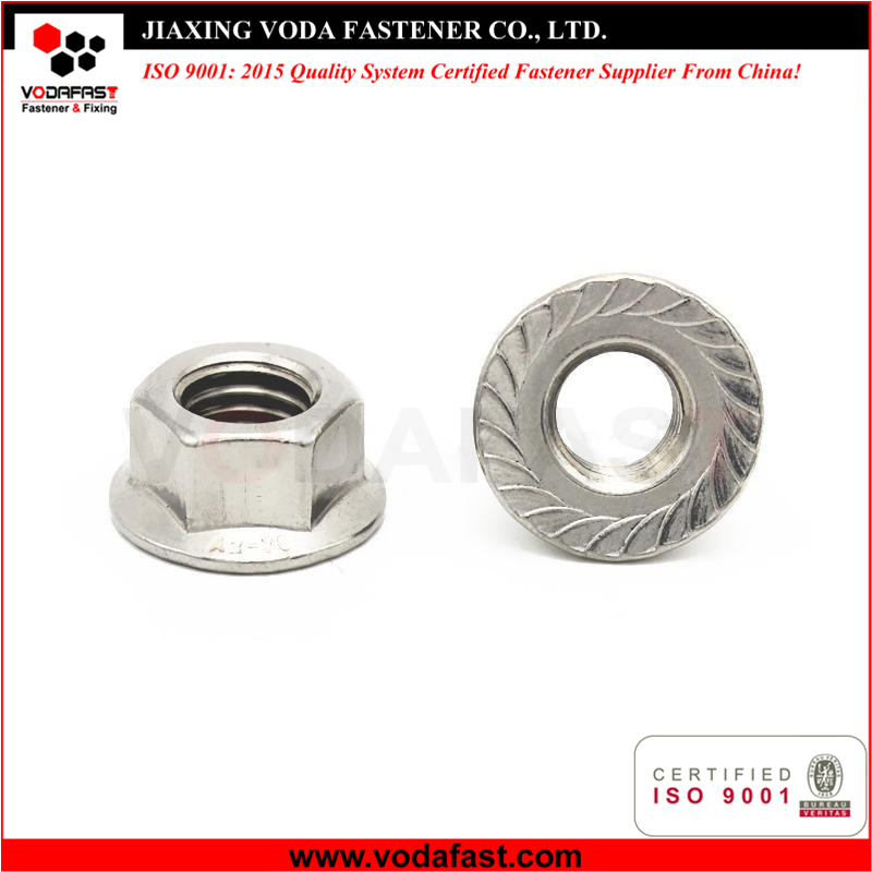 Stainless Steel Hex Nut/ Flange Nut/Thin Hex Nut/Wing Nut