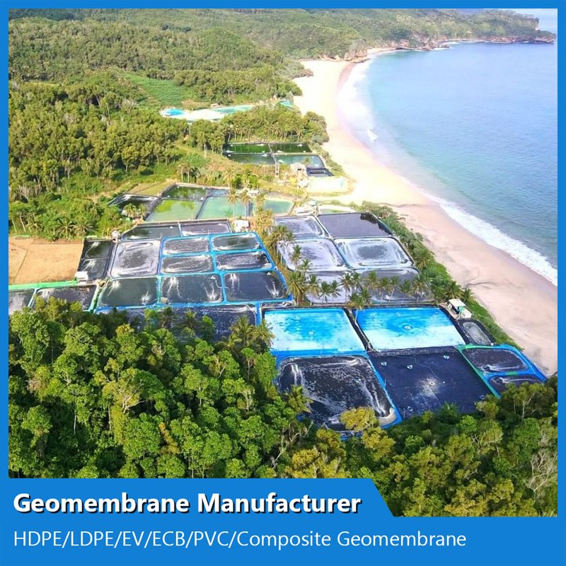 0.2 - 2mm Geomembranes Film for Artificial Lake Pond Liner HDPE Geomembrane