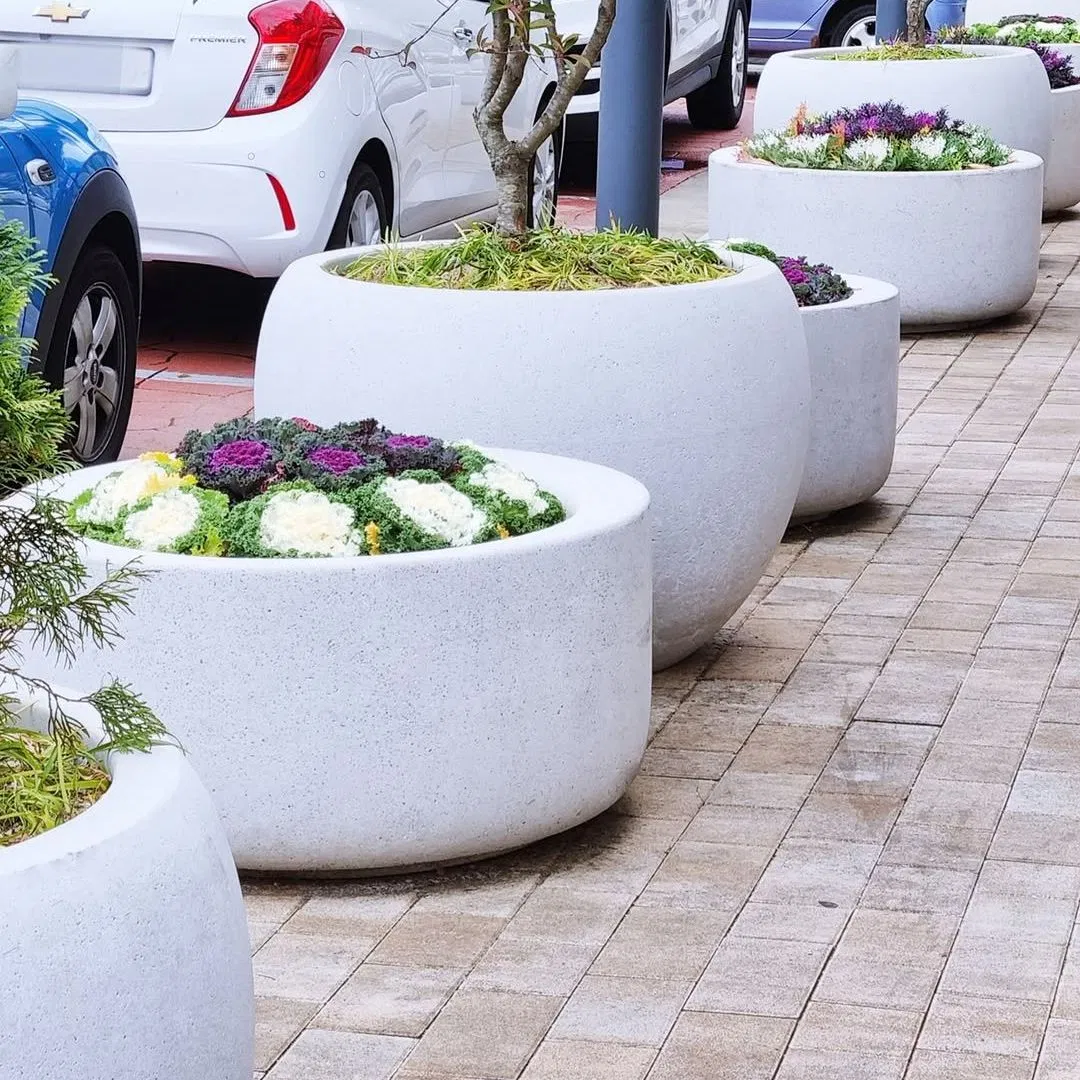 Modern Minimalist Concrete Flower Pots - Preferred Containers for Outdoor Greenery