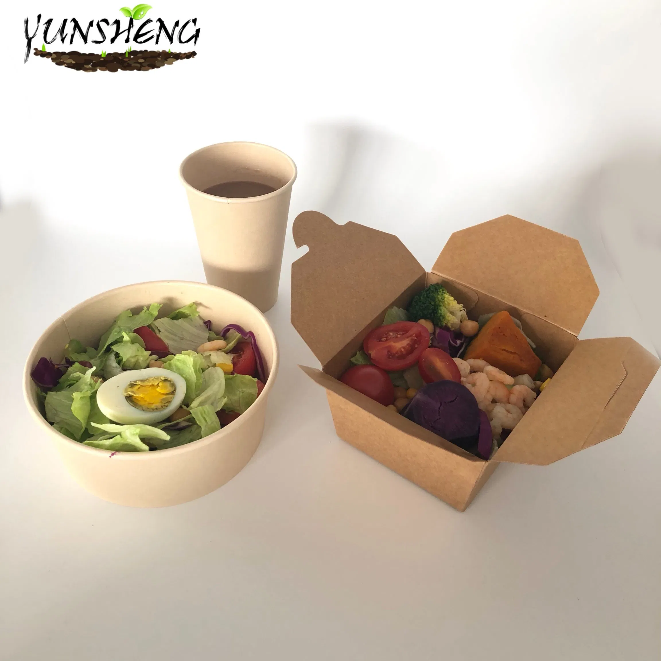 Disposable Food Containers Salad Bowls
