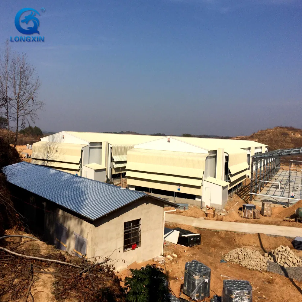 Quickly Built Good Usage Easily Feed Steel Chicken Poultry Best Quality Easily Built Galvanized Steel Structure Chicken Coop House