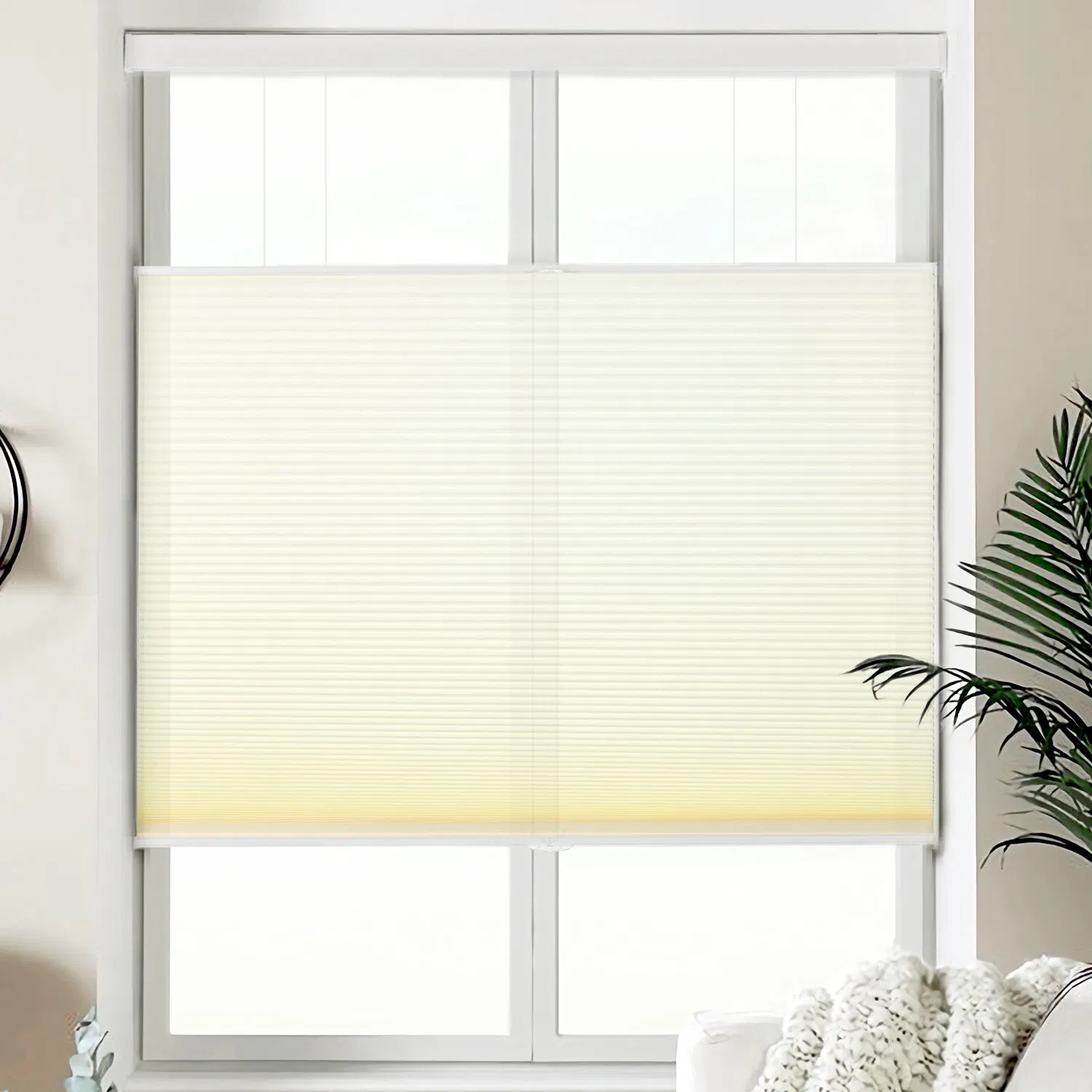 Sisheng Factory Direct Cordless Cellular Shades, No Tools No Drill Blackout Honeycomb Shades Pleated Blinds for Windows