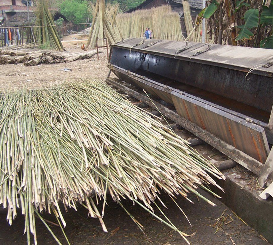 Bulk Large Bamboo Stakes Bamboo Poles and Canes for Farm Planting
