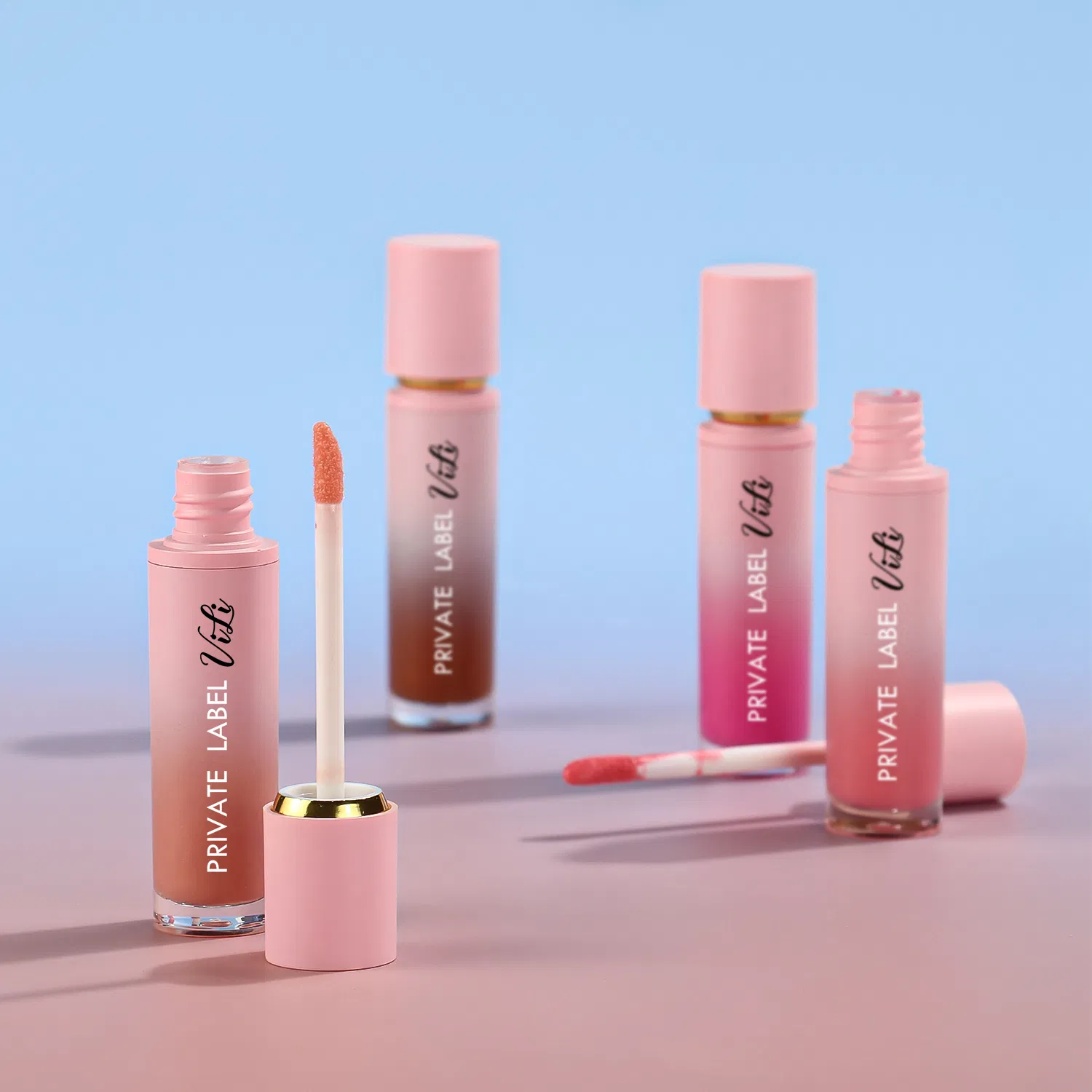 OEM Professional Beauty Makeup Lip Gloss Collection Lipgloss