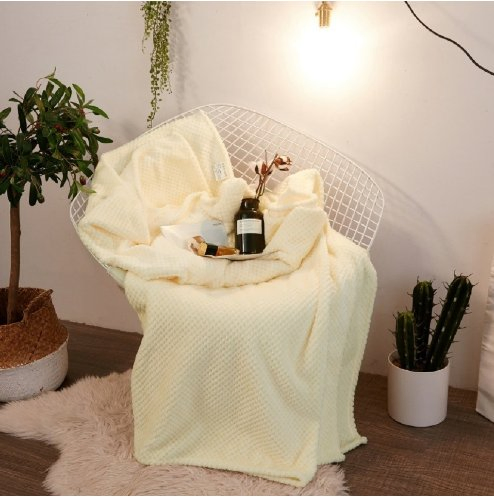 Flannel Blanket Wholesale Office Napping Blanket