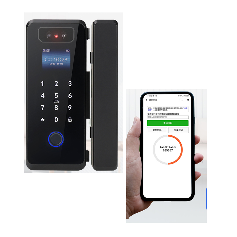 3D Face Recognition High Definition Camera Glass Door Smart Lock