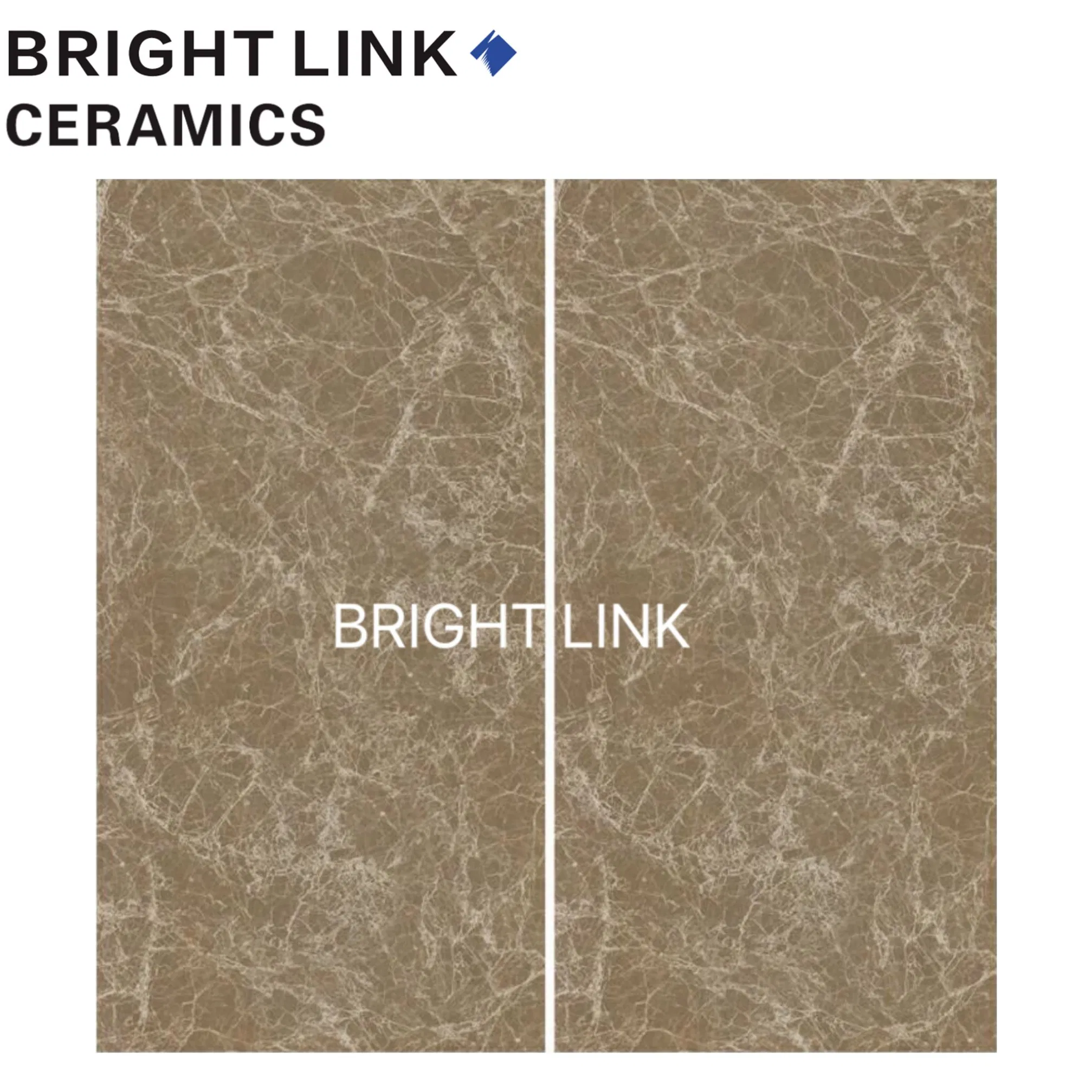 Special Design Building Material Full Body Glazed Porcelain Wall and Floor Tile