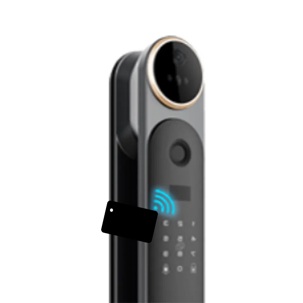 Face/Fingerprint/Password/Card/Palm Vein/Mechanical Key/Mobile Phone APP Smart Lock