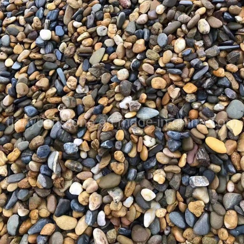 China Polished Black Landscape River Cobble & Pebble Stones for Swimming Pool