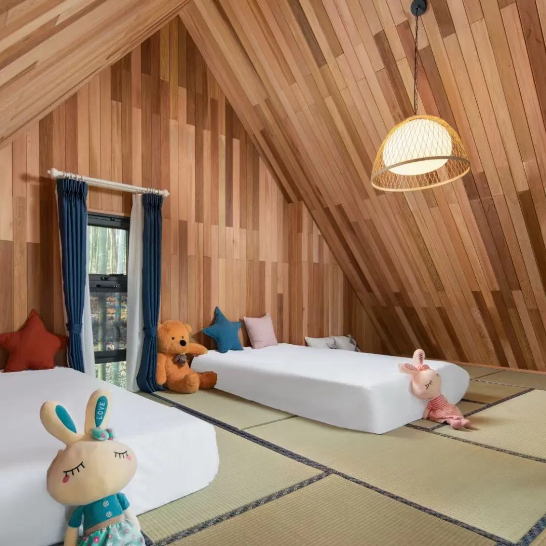Clear Grade Canada Red Cedar Interior Timber Wall Panel Cladding Ceilings