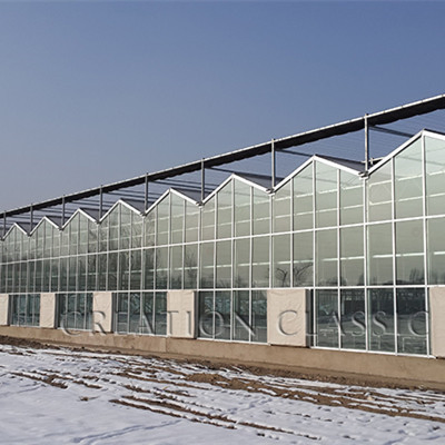 4mm Clear/ Diffuse Tempered Horticulture Glass for Greenhouse
