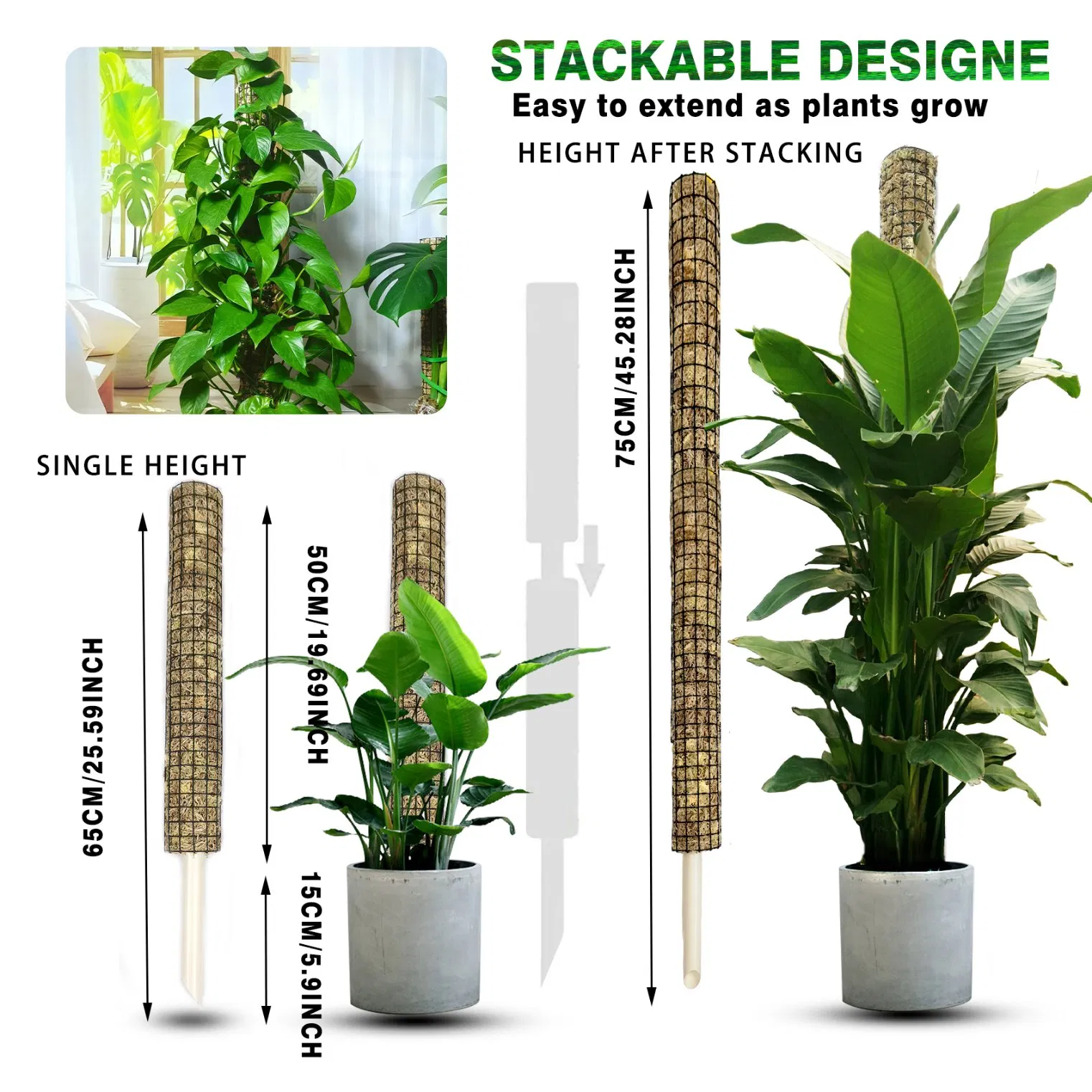 Breathable Moisturizing Sphagnum Moss Pole for Tropical Climbing Plants Aerial Root Development & Fiddle-Leaf Fig