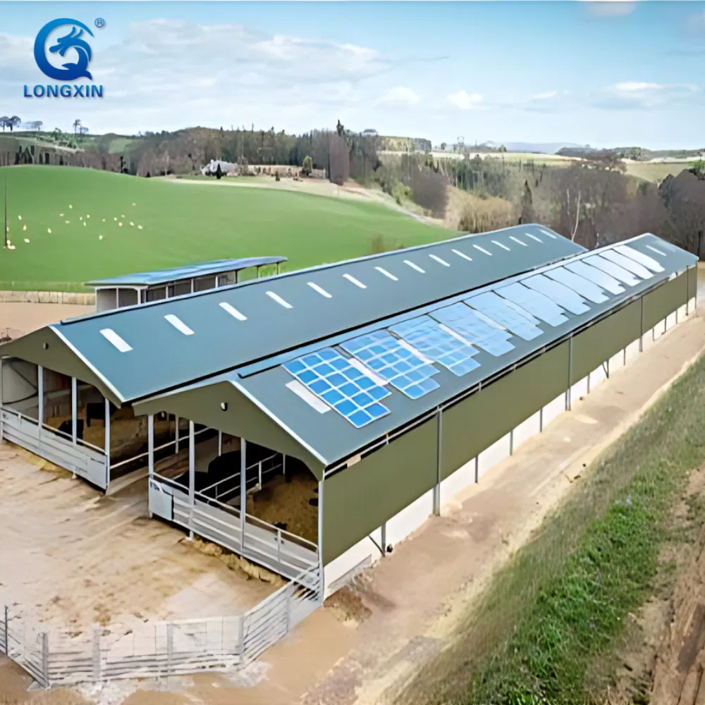 Steel Structure Chicken House Egg Laying Hens Chicken Coop Farm Small Chicken Poultry with Low Price