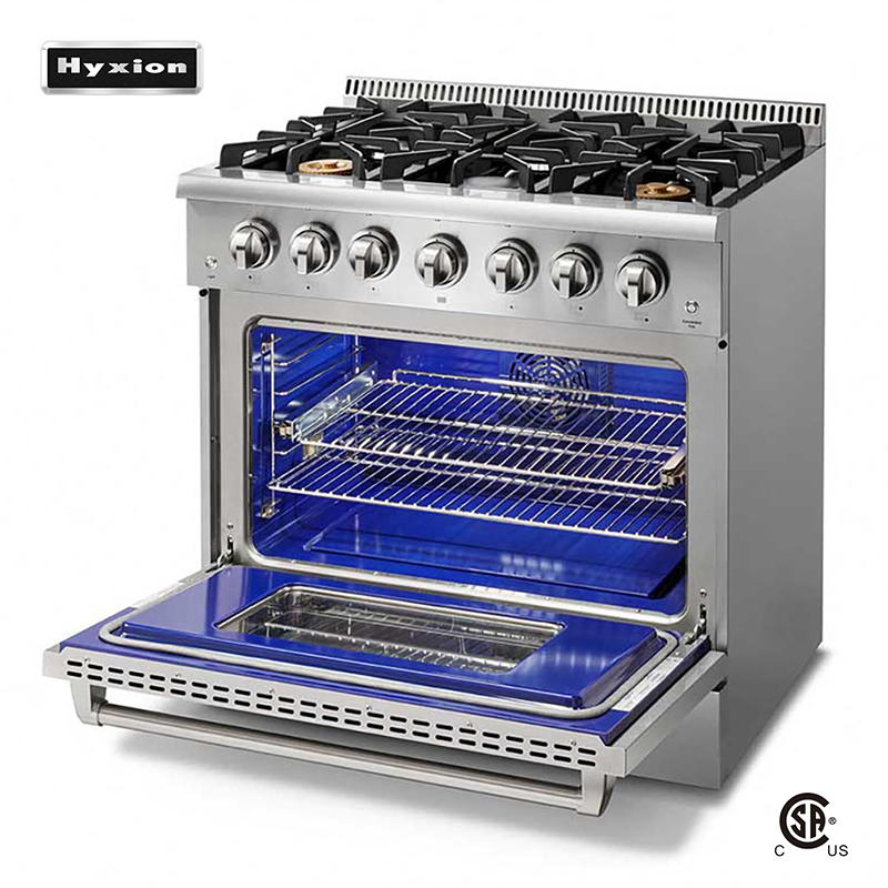Freestanding Professional Gas Stove