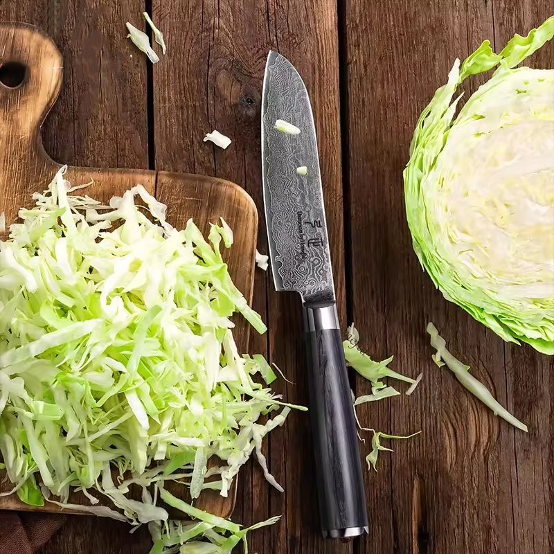 Japanese Damascus Steel 67 Layers Vg10 Core Ultra Sharp Chef Knife Kitchen Cooking Knife with Pakka Wood Handle