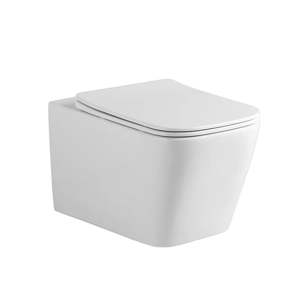 Sen Hang Bathroom Luxury Toilet Ceramic Sanitary Ware Hidden Water Tank Wall Mounted Toilet