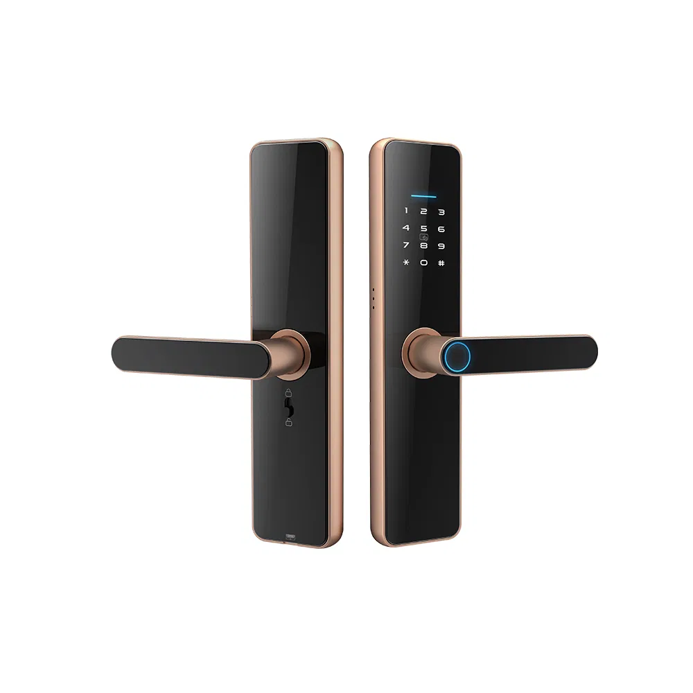 Digital Smart Door Lock for Home Airbnb Apartment Project