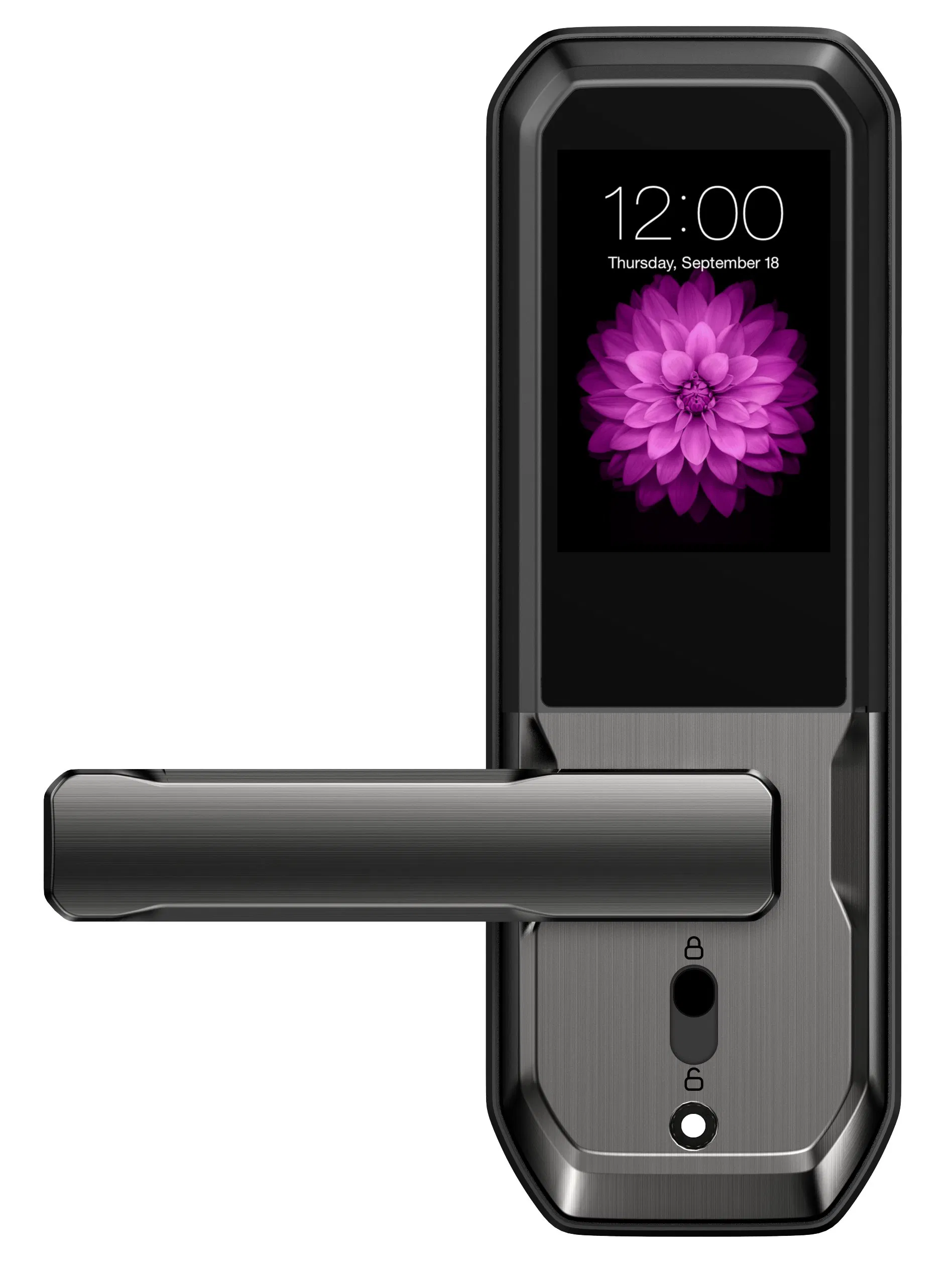 Deadbolt Smart Door Lock Dl-30