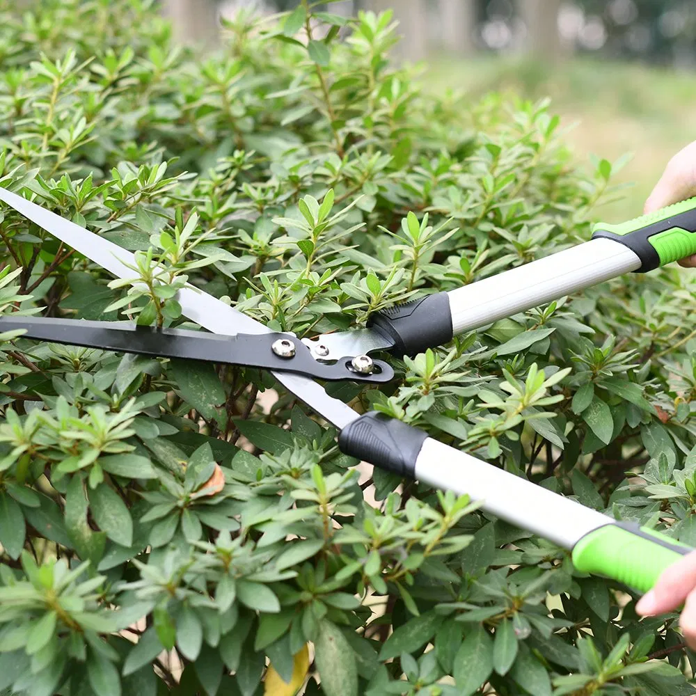 Best Secateurs Long Handle Gardening Shears Tree Pole Pruner Vineyard Lopping Shears