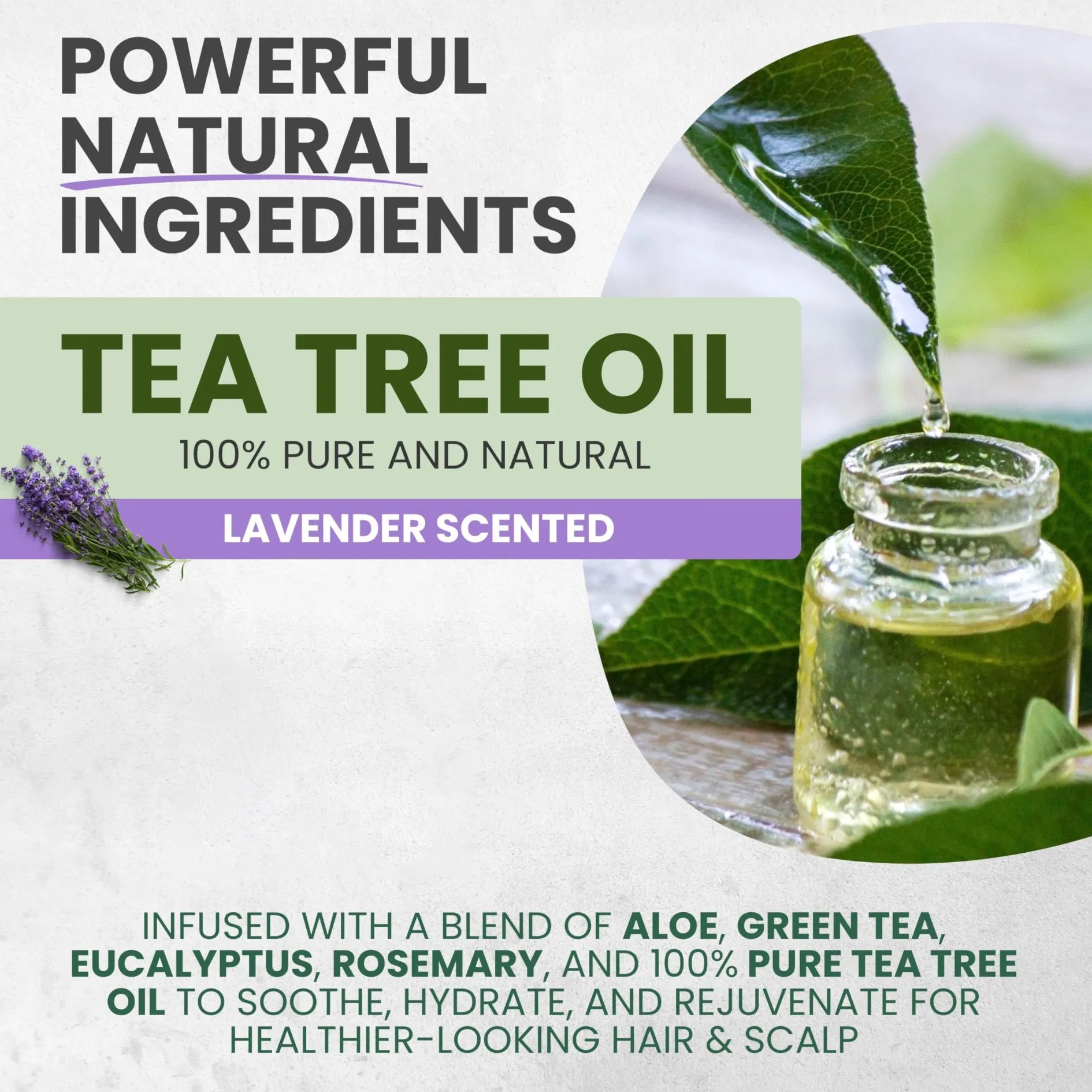 Beauty Cosmetics Hydrating Deep Conditioner Dry Damaged Hair Tea Tree Hair Mask