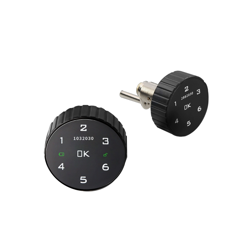 Drawer Lock, Billiard Cue Lock, Password Cabinet Lock, Bathroom Electronic Lock, Card-Swiping Smart Lock, Cabinet Lock