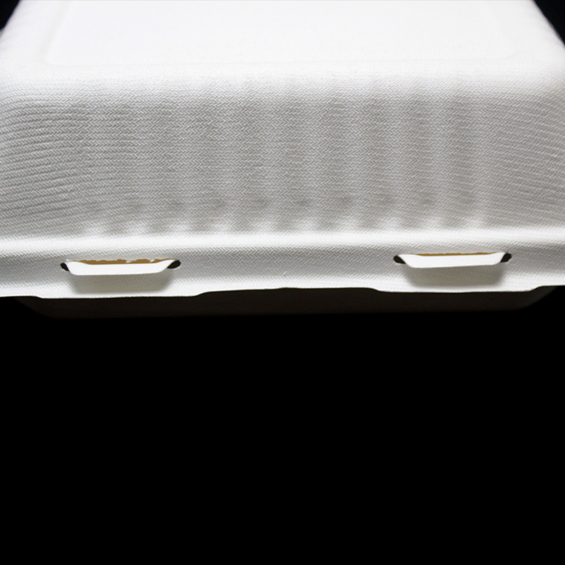 Sugarcane Biobased Biodegradable Burger Lunch Box Take-out Food Container