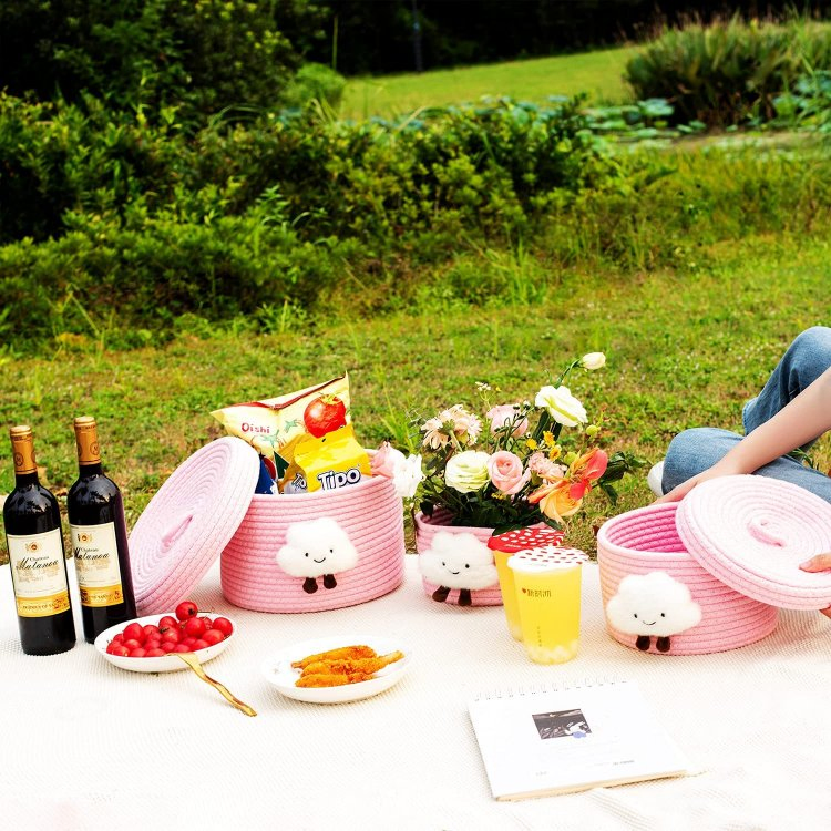 Small Lovely Woven Baskets with Lid Storage Baskets