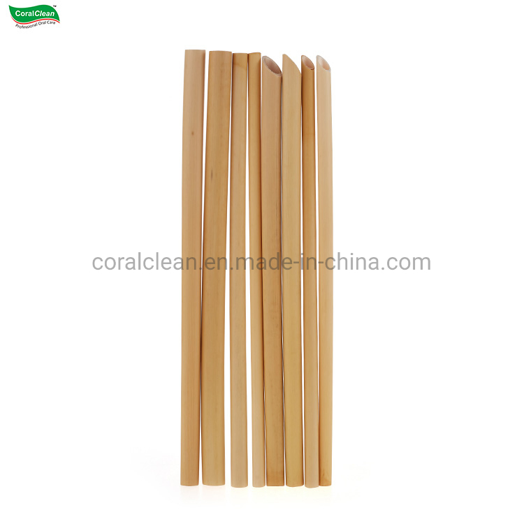 Bamboo Straws for Party Favors Wedding Eco Friendly Bamboo Drinking Straw