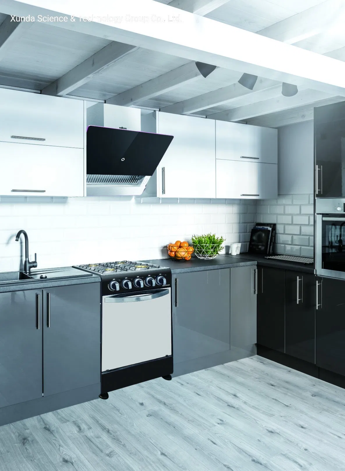 4 Gas Burners Stove with Free Standing Oven