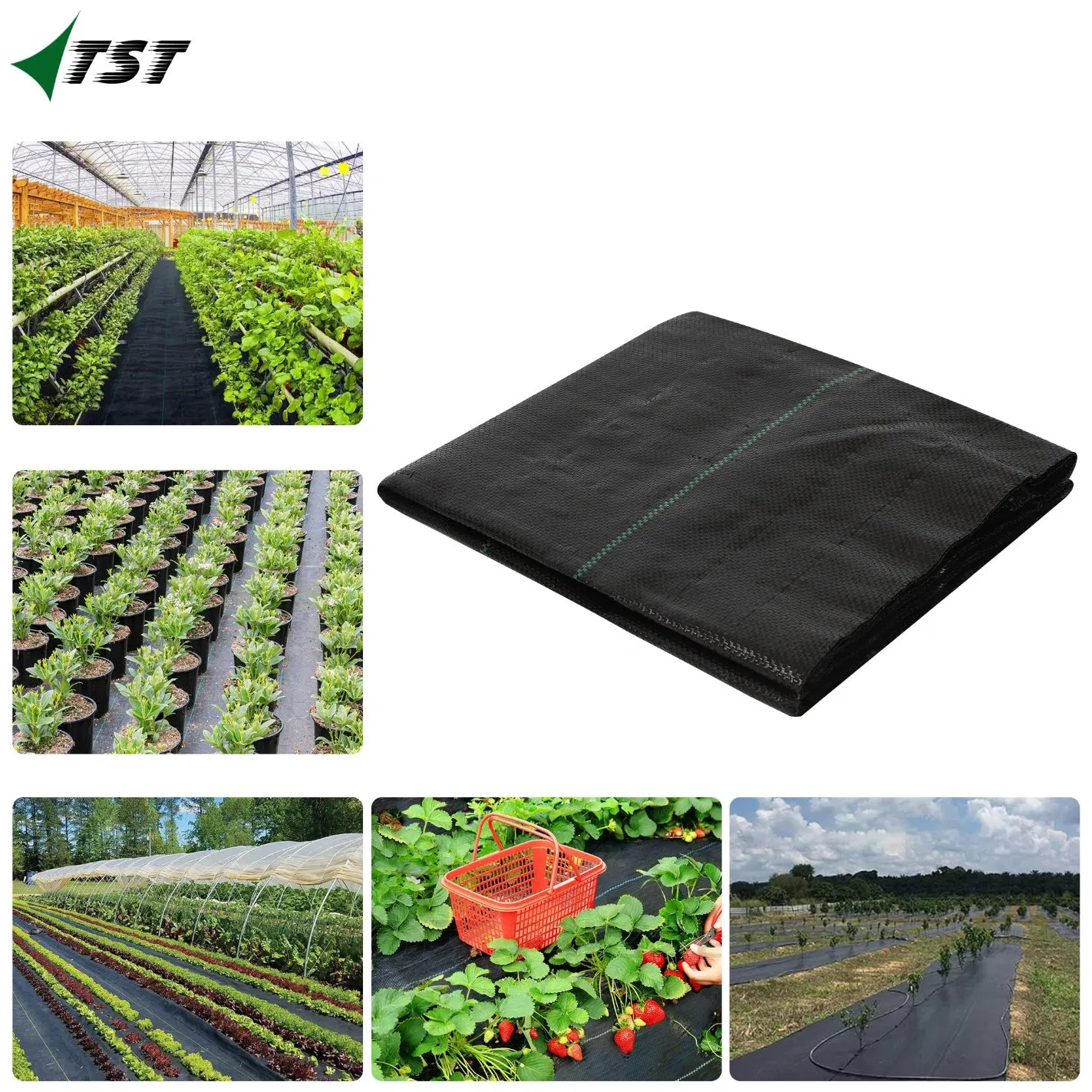 Weedmat Weed Matting Roll 1.83m X 50m (Black)