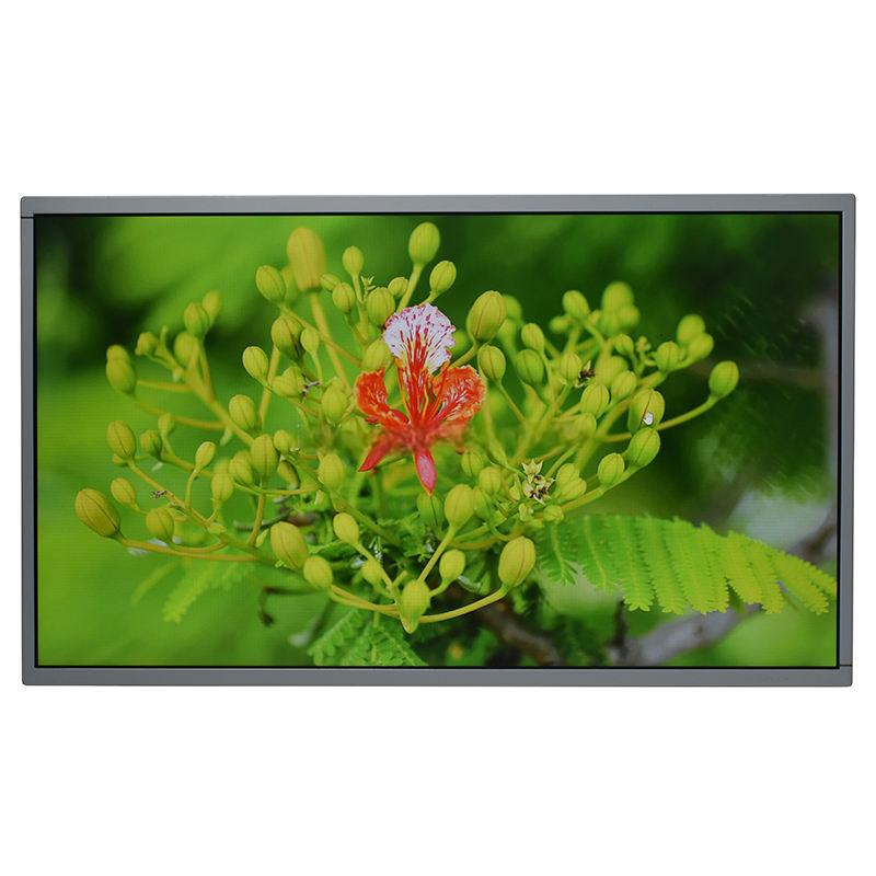 21.5inch 1920*1080 IPS Lvds Interface TFT LCD Panel Full 1080P with LCD Display Module Stm32