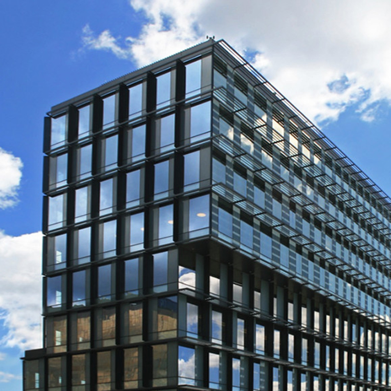 Aluminum Frame Low E Hollow Glass Curtain Wall for Educational Institutions