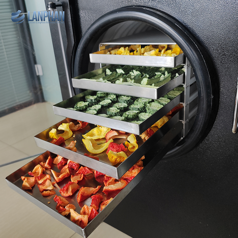 5-7kg Small Vacuum Freeze Dryer Machine for Home with WiFi