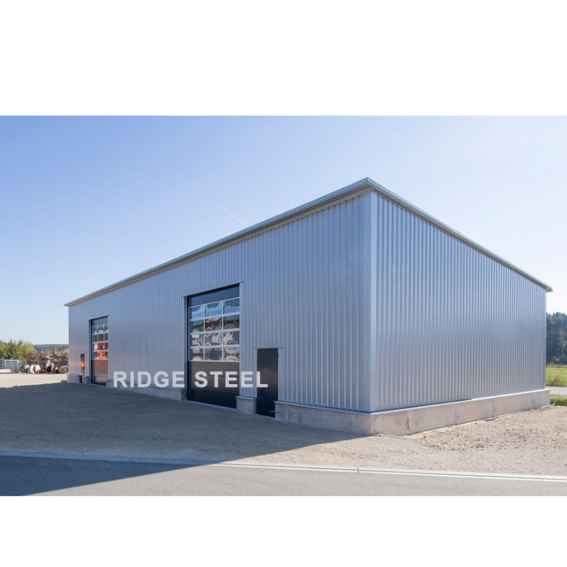 Fast Installation Construction Prefab Metal Structure Buildings for Workshop