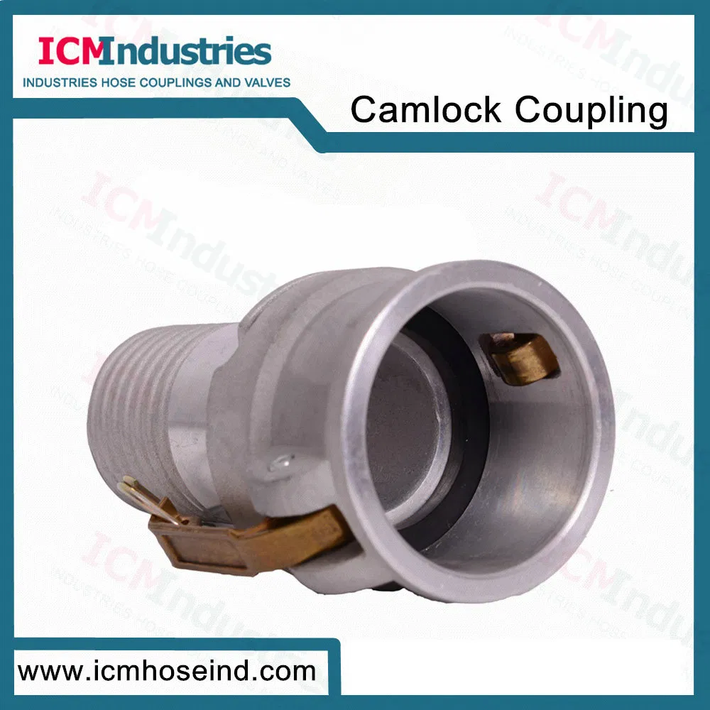 Stainless Steel Type C Composite Hose Connectors