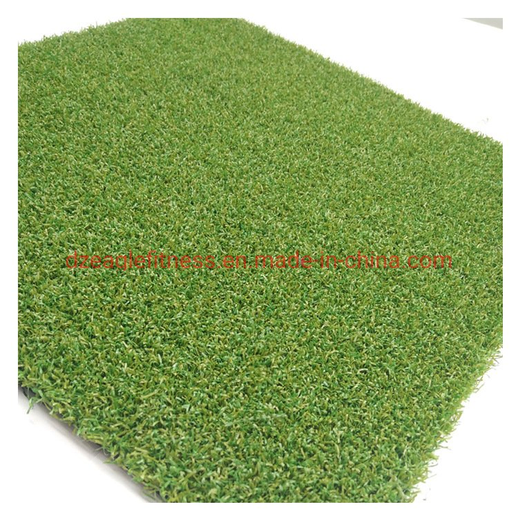 High Quality Artificial Grass for Indoor Gym