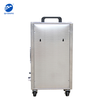 Portable 5g/H Car Ozone Generator, Car Ozone Air Purifier